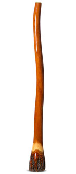 Ironbark Didgeridoo (IB171)